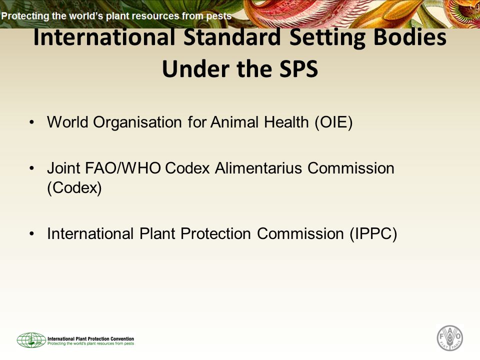 International Standard Setting Bodies Under the SPS World Organisation for Animal Health (OIE) Joint FAO/WHO Codex Alimentarius Commission (Codex) International Plant Protection Commission (IPPC)