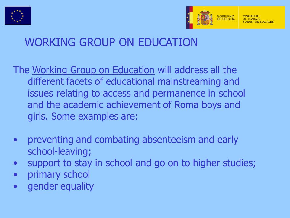 WORKING GROUP ON EDUCATION The Working Group on Education will address all the different facets of educational mainstreaming and issues relating to access and permanence in school and the academic achievement of Roma boys and girls.