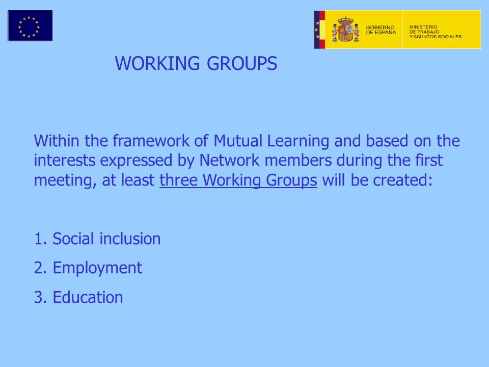 WORKING GROUPS Within the framework of Mutual Learning and based on the interests expressed by Network members during the first meeting, at least three Working Groups will be created: 1.