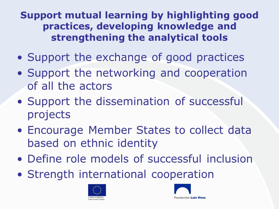 Support mutual learning by highlighting good practices, developing knowledge and strengthening the analytical tools Support the exchange of good practices Support the networking and cooperation of all the actors Support the dissemination of successful projects Encourage Member States to collect data based on ethnic identity Define role models of successful inclusion Strength international cooperation