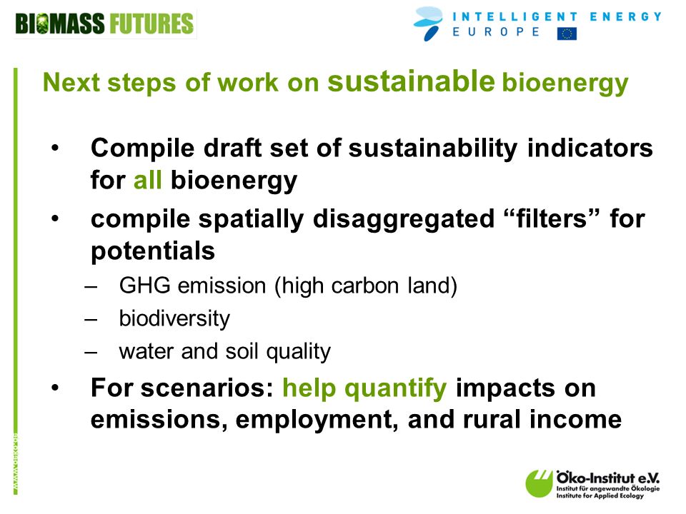 o.de Compile draft set of sustainability indicators for all bioenergy compile spatially disaggregated filters for potentials –GHG emission (high carbon land) –biodiversity –water and soil quality For scenarios: help quantify impacts on emissions, employment, and rural income Next steps of work on sustainable bioenergy