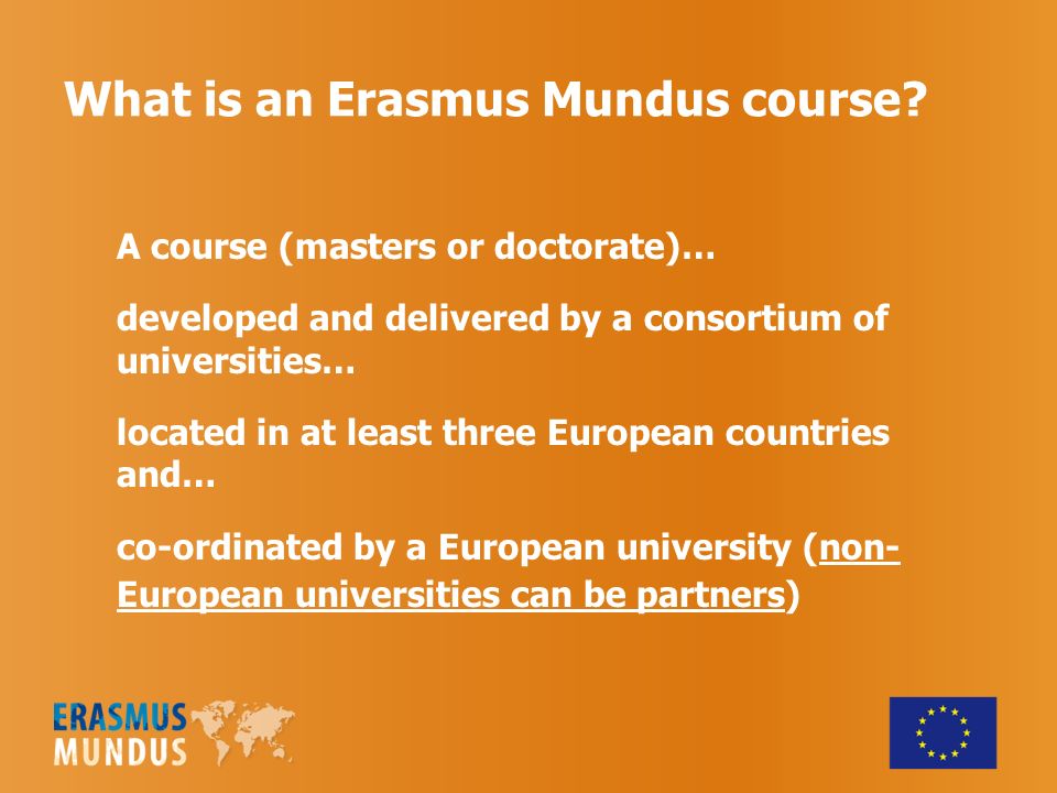 What is an Erasmus Mundus course.