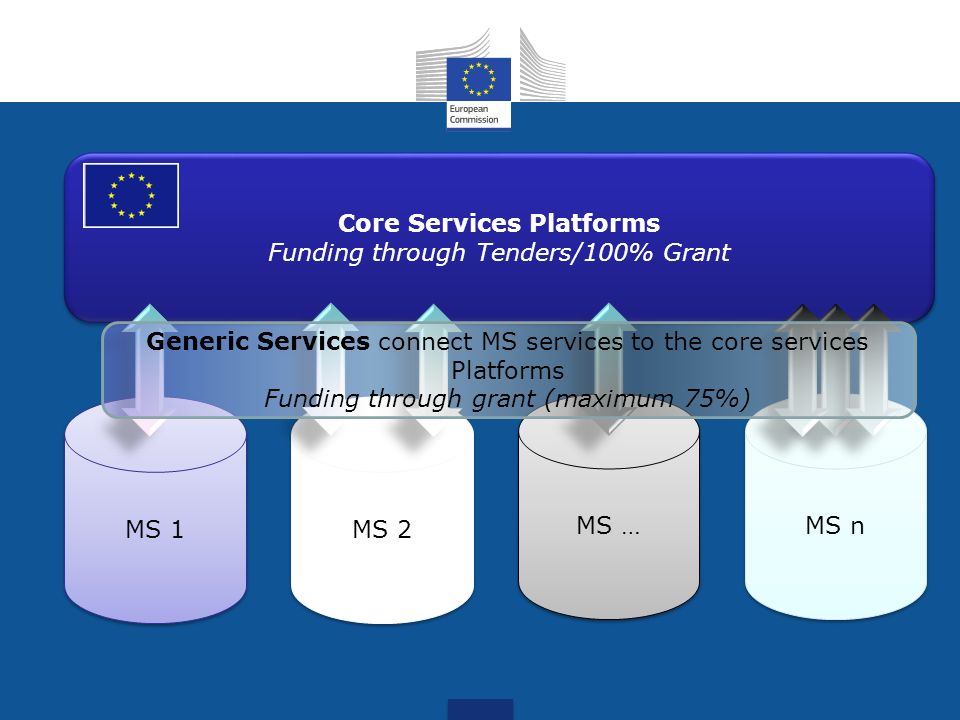MS 1 MS 2 MS … MS n Core Services Platforms Funding through Tenders/100% Grant Core Services Platforms Funding through Tenders/100% Grant Generic Services connect MS services to the core services Platforms Funding through grant (maximum 75%)