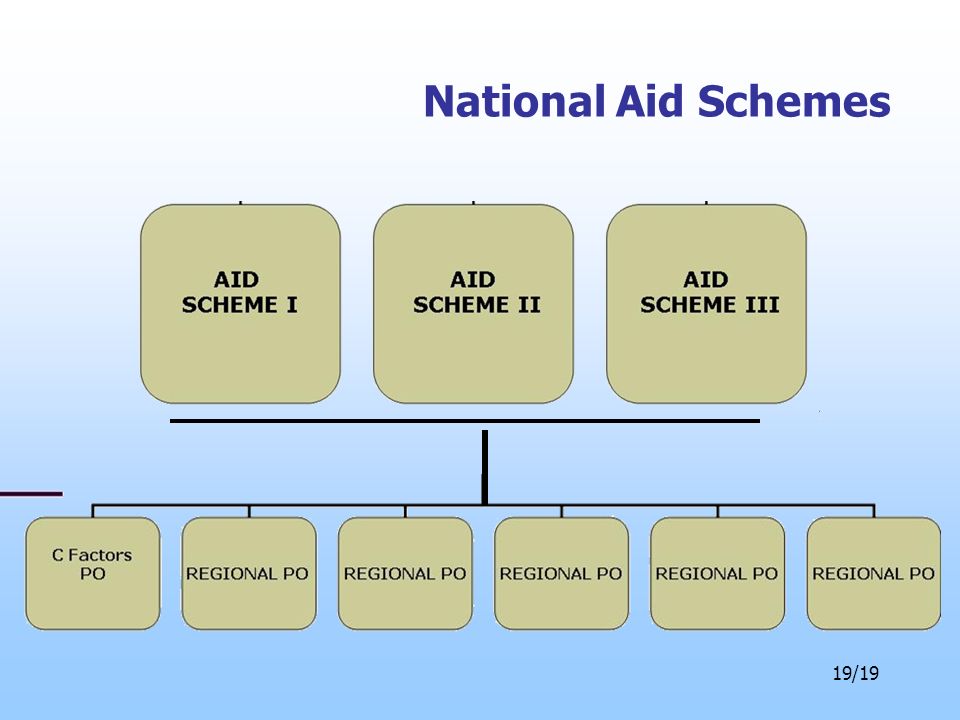 19/19 National Aid Schemes