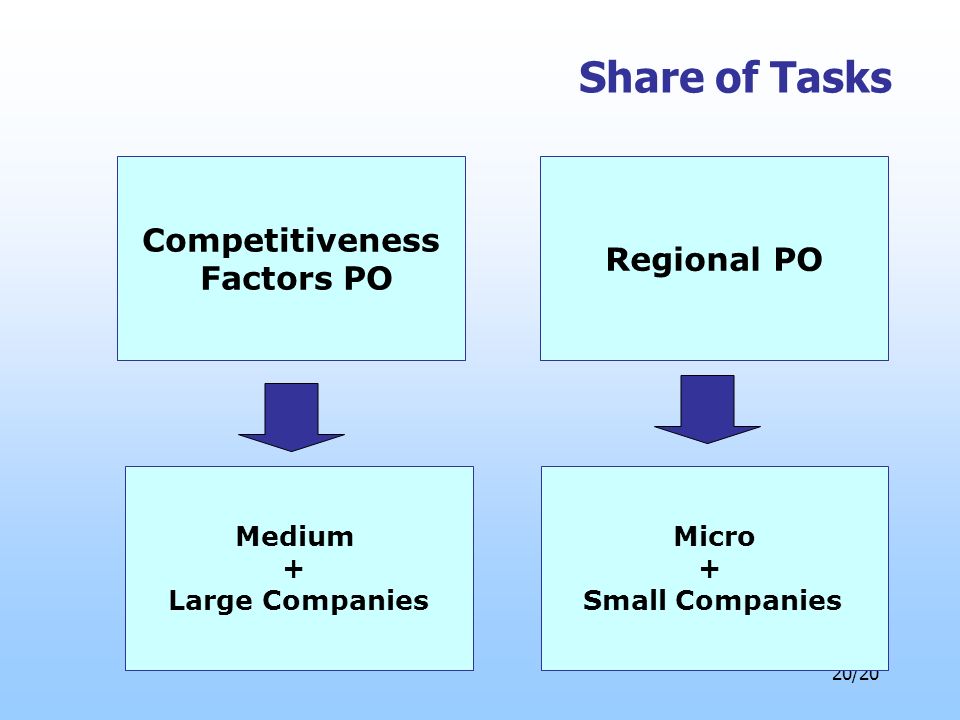 20/20 Share of Tasks Competitiveness Factors PO Micro + Small Companies Medium + Large Companies Regional PO