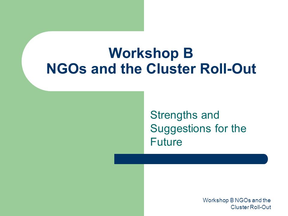Workshop B NGOs and the Cluster Roll-Out Strengths and Suggestions for the Future