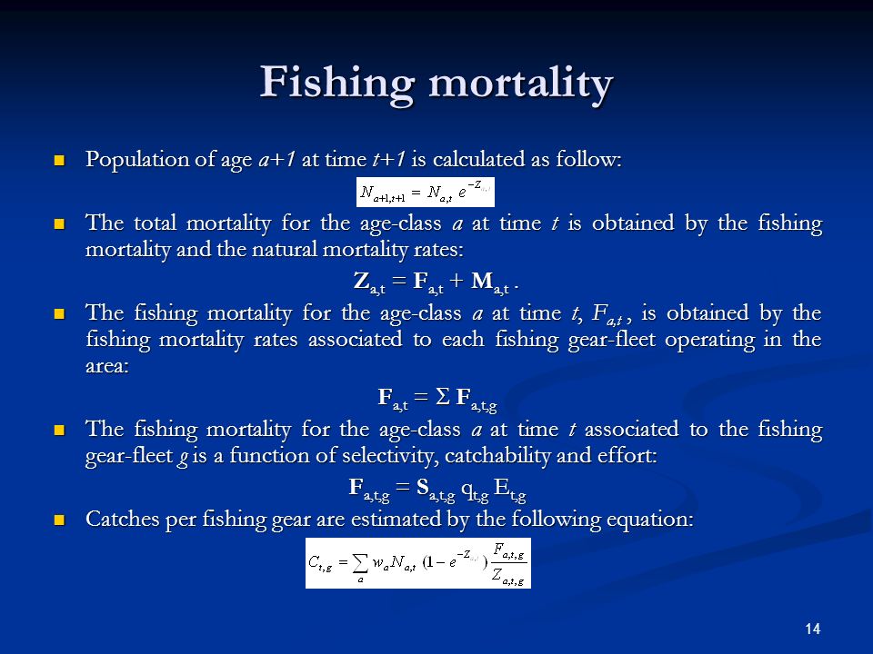14 Fishing mortality Population of age a+1 at time t+1 is calculated as follow: Population of age a+1 at time t+1 is calculated as follow: The total mortality for the age-class a at time t is obtained by the fishing mortality and the natural mortality rates: The total mortality for the age-class a at time t is obtained by the fishing mortality and the natural mortality rates: Z a,t = F a,t + M a,t.