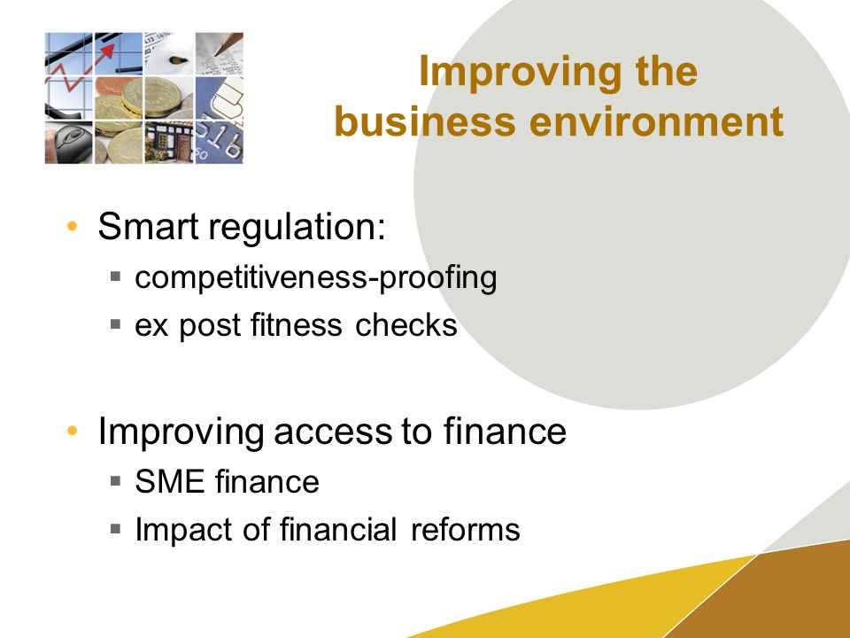 Improving the business environment Smart regulation: competitiveness-proofing ex post fitness checks Improving access to finance SME finance Impact of financial reforms