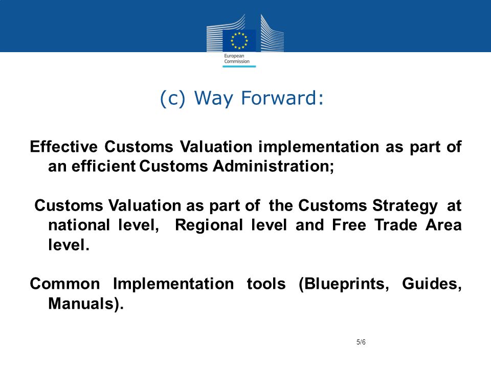 (c) Way Forward: Effective Customs Valuation implementation as part of an efficient Customs Administration; Customs Valuation as part of the Customs Strategy at national level, Regional level and Free Trade Area level.