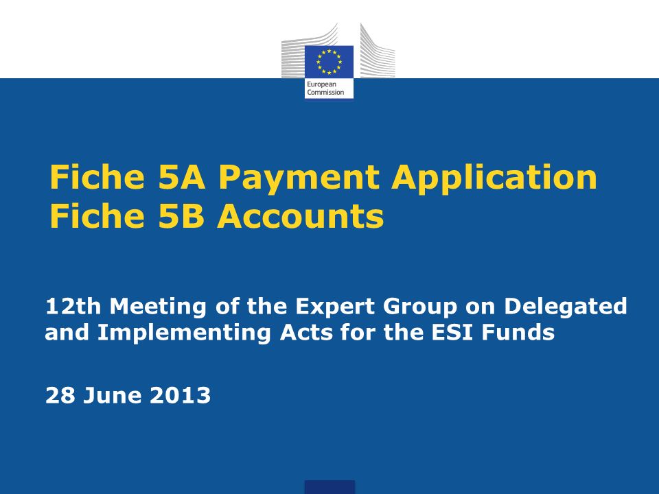 Fiche 5A Payment Application Fiche 5B Accounts 12th Meeting of the Expert Group on Delegated and Implementing Acts for the ESI Funds 28 June 2013