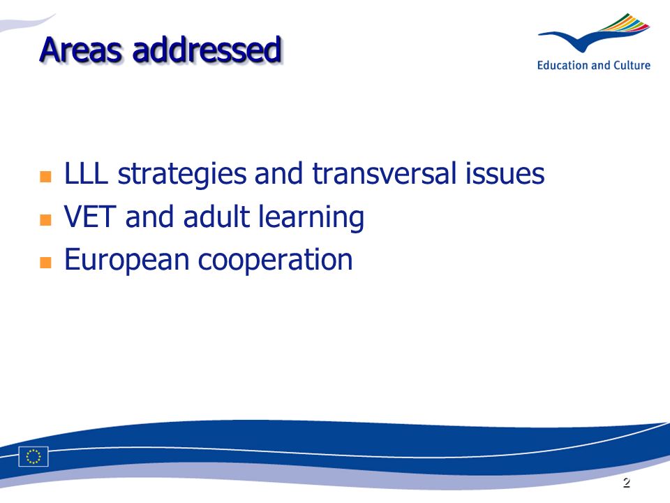 2 Areas addressed LLL strategies and transversal issues VET and adult learning European cooperation