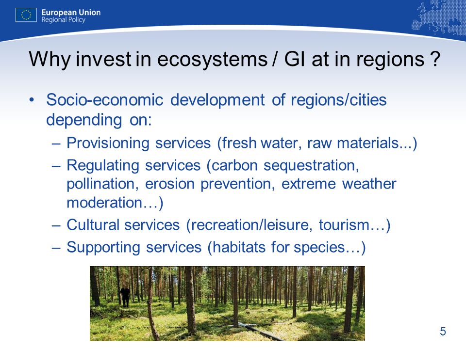5 Socio-economic development of regions/cities depending on: –Provisioning services (fresh water, raw materials...) –Regulating services (carbon sequestration, pollination, erosion prevention, extreme weather moderation…) –Cultural services (recreation/leisure, tourism…) –Supporting services (habitats for species…) Why invest in ecosystems / GI at in regions