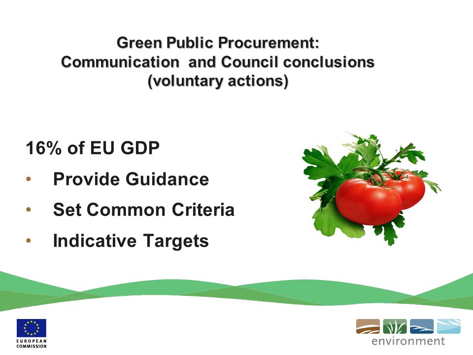 16% of EU GDP Provide Guidance Set Common Criteria Indicative Targets Green Public Procurement: Communication and Council conclusions (voluntary actions)