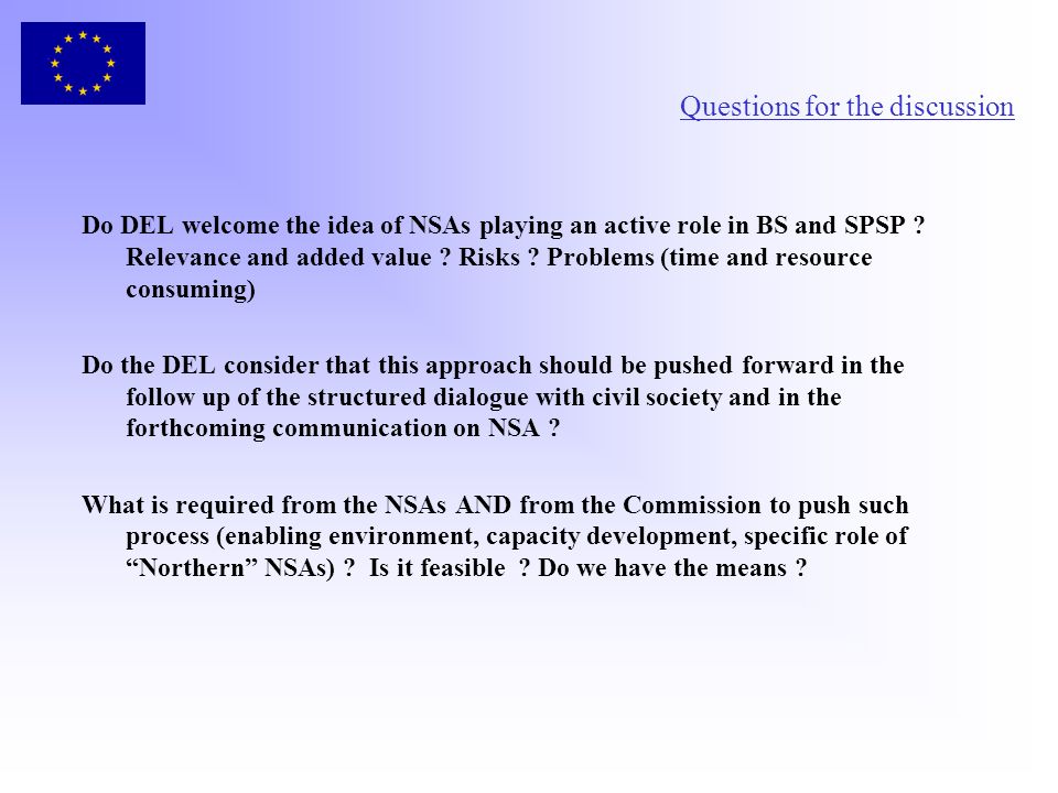 Questions for the discussion Do DEL welcome the idea of NSAs playing an active role in BS and SPSP .