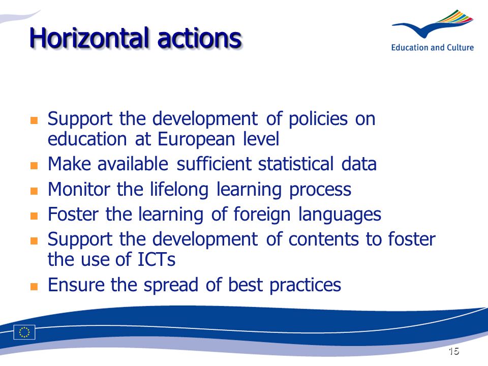 15 Horizontal actions Support the development of policies on education at European level Make available sufficient statistical data Monitor the lifelong learning process Foster the learning of foreign languages Support the development of contents to foster the use of ICTs Ensure the spread of best practices