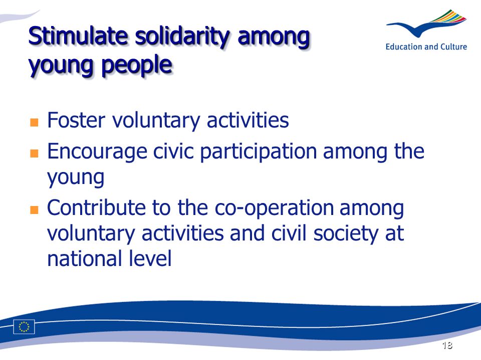 18 Stimulate solidarity among young people Foster voluntary activities Encourage civic participation among the young Contribute to the co-operation among voluntary activities and civil society at national level
