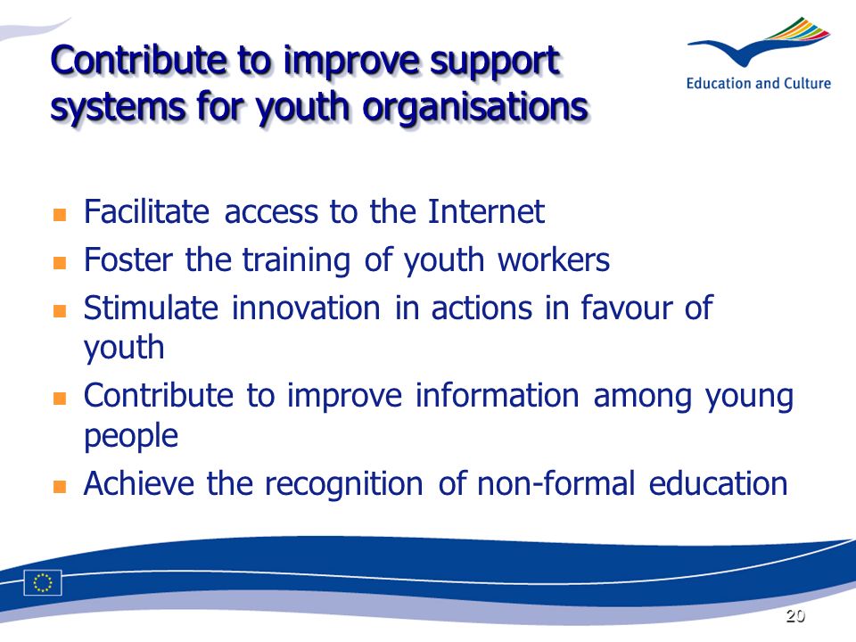 20 Contribute to improve support systems for youth organisations Facilitate access to the Internet Foster the training of youth workers Stimulate innovation in actions in favour of youth Contribute to improve information among young people Achieve the recognition of non-formal education