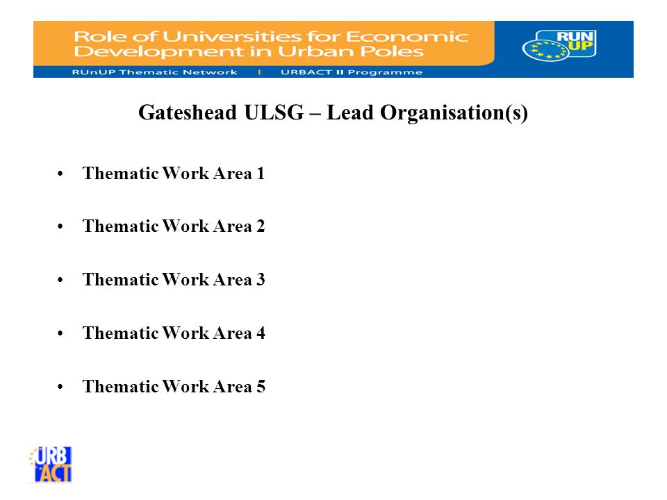 Gateshead ULSG – Lead Organisation(s) Thematic Work Area 1 Thematic Work Area 2 Thematic Work Area 3 Thematic Work Area 4 Thematic Work Area 5