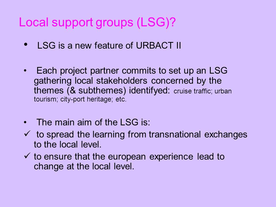 Local support groups (LSG).