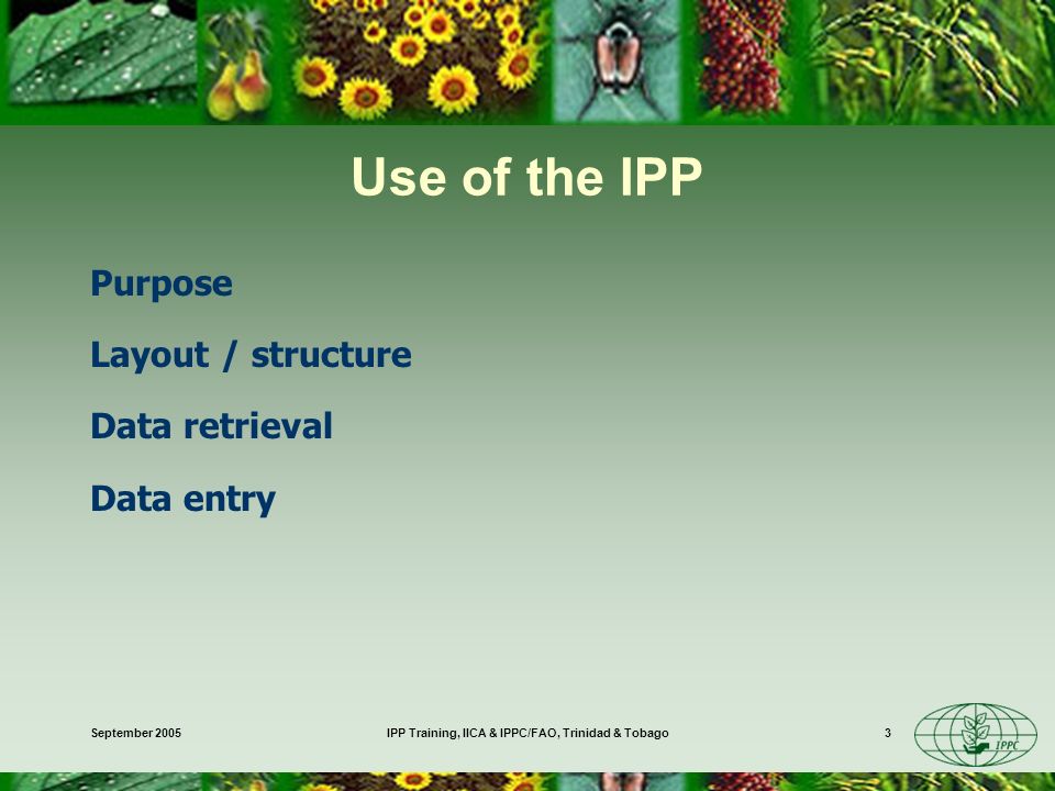 September 2005IPP Training, IICA & IPPC/FAO, Trinidad & Tobago3 Use of the IPP Purpose Layout / structure Data retrieval Data entry