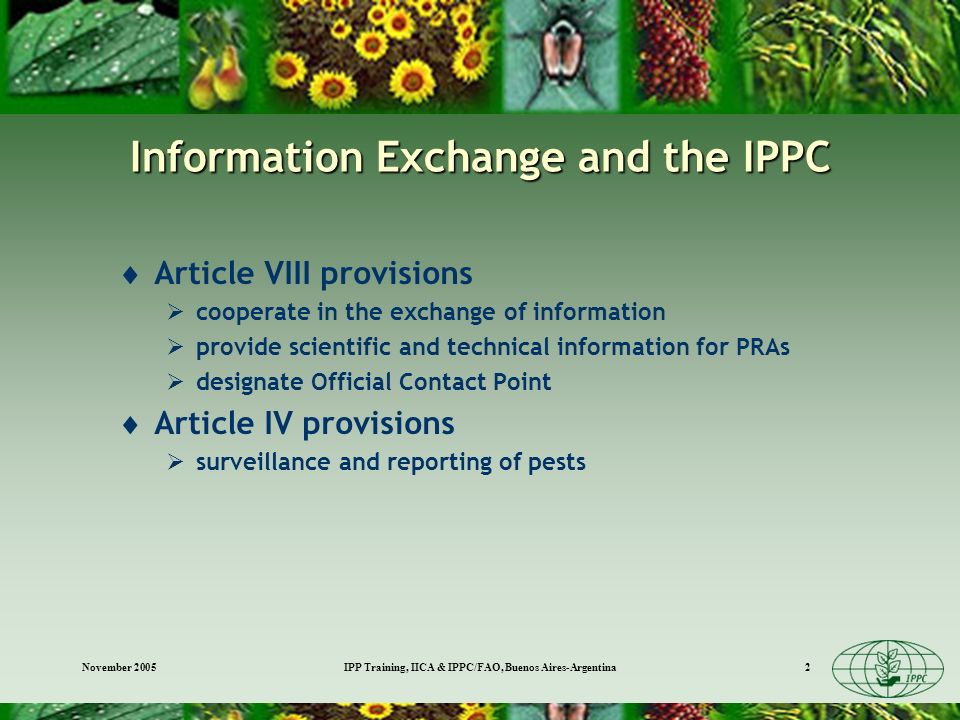 November 2005IPP Training, IICA & IPPC/FAO, Buenos Aires-Argentina2 Information Exchange and the IPPC Article VIII provisions cooperate in the exchange of information provide scientific and technical information for PRAs designate Official Contact Point Article IV provisions surveillance and reporting of pests