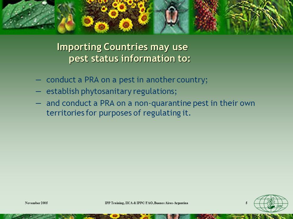 November 2005IPP Training, IICA & IPPC/FAO, Buenos Aires-Argentina5 Importing Countries may use pest status information to: conduct a PRA on a pest in another country; establish phytosanitary regulations; and conduct a PRA on a non-quarantine pest in their own territories for purposes of regulating it.