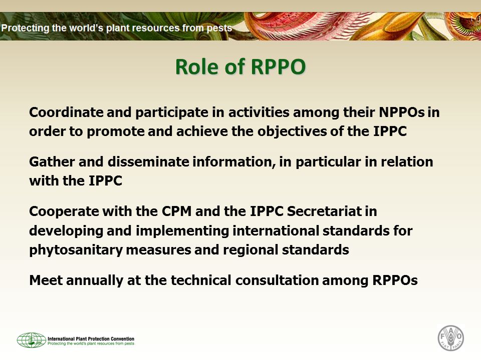 Role of RPPO Coordinate and participate in activities among their NPPOs in order to promote and achieve the objectives of the IPPC Gather and disseminate information, in particular in relation with the IPPC Cooperate with the CPM and the IPPC Secretariat in developing and implementing international standards for phytosanitary measures and regional standards Meet annually at the technical consultation among RPPOs
