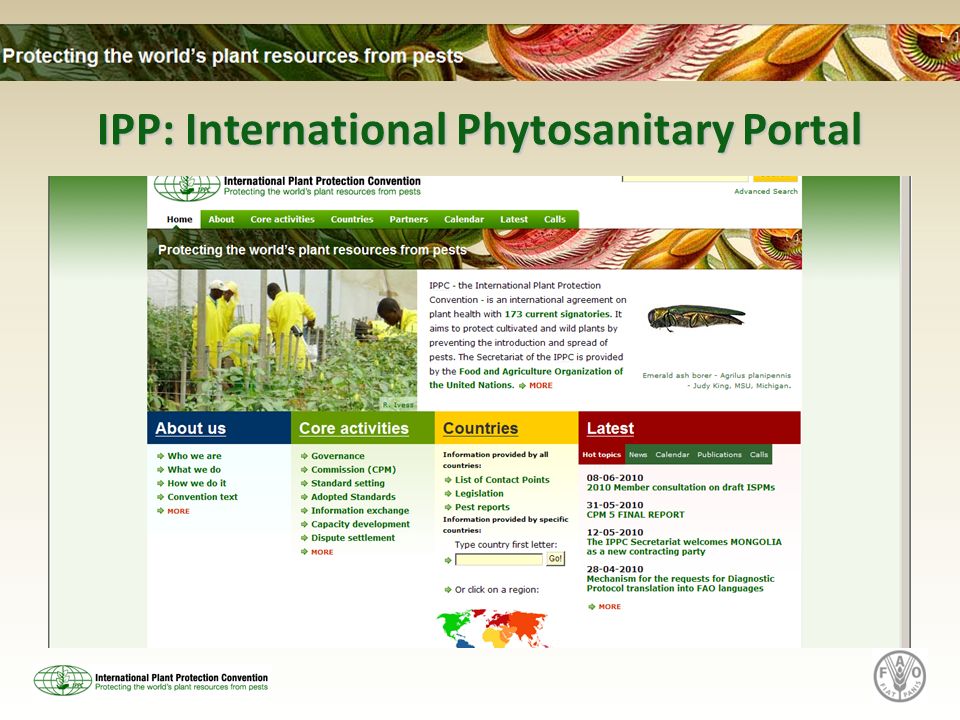IPP: International Phytosanitary Portal