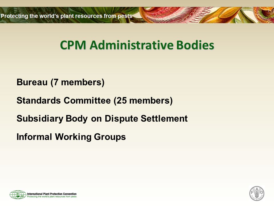 CPM Administrative Bodies Bureau (7 members) Standards Committee (25 members) Subsidiary Body on Dispute Settlement Informal Working Groups