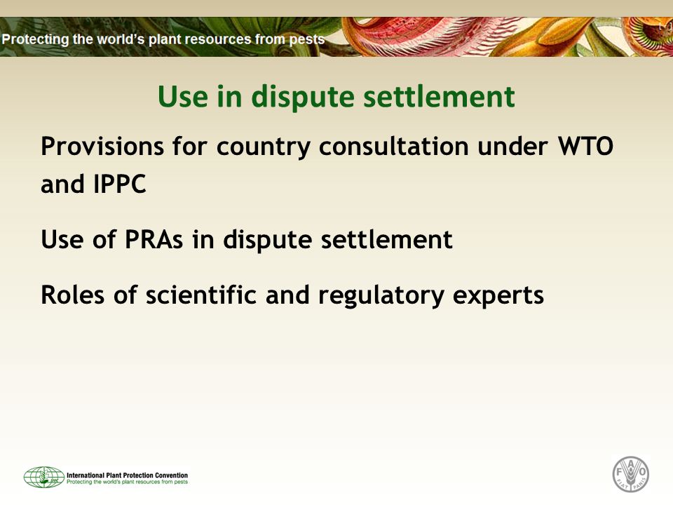 Use in dispute settlement Provisions for country consultation under WTO and IPPC Use of PRAs in dispute settlement Roles of scientific and regulatory experts