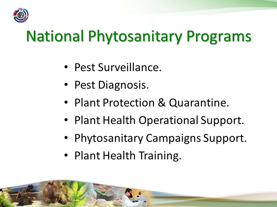 National Phytosanitary Programs Pest Surveillance.