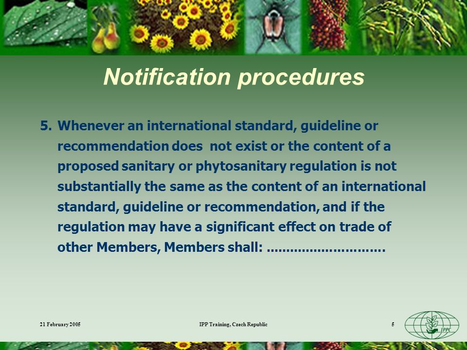 21 February 2005IPP Training, Czech Republic5 Notification procedures 5.Whenever an international standard, guideline or recommendation does not exist or the content of a proposed sanitary or phytosanitary regulation is not substantially the same as the content of an international standard, guideline or recommendation, and if the regulation may have a significant effect on trade of other Members, Members shall: