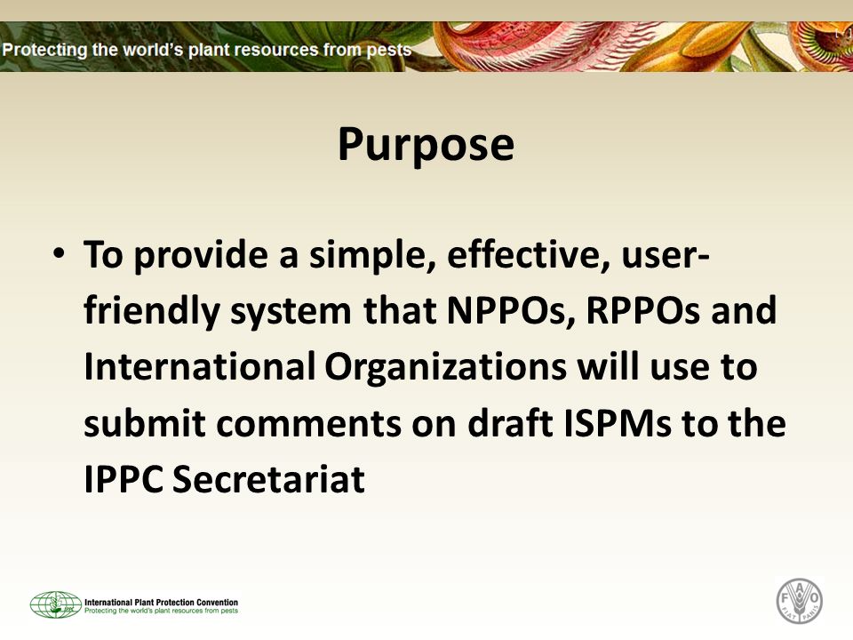 Purpose To provide a simple, effective, user- friendly system that NPPOs, RPPOs and International Organizations will use to submit comments on draft ISPMs to the IPPC Secretariat