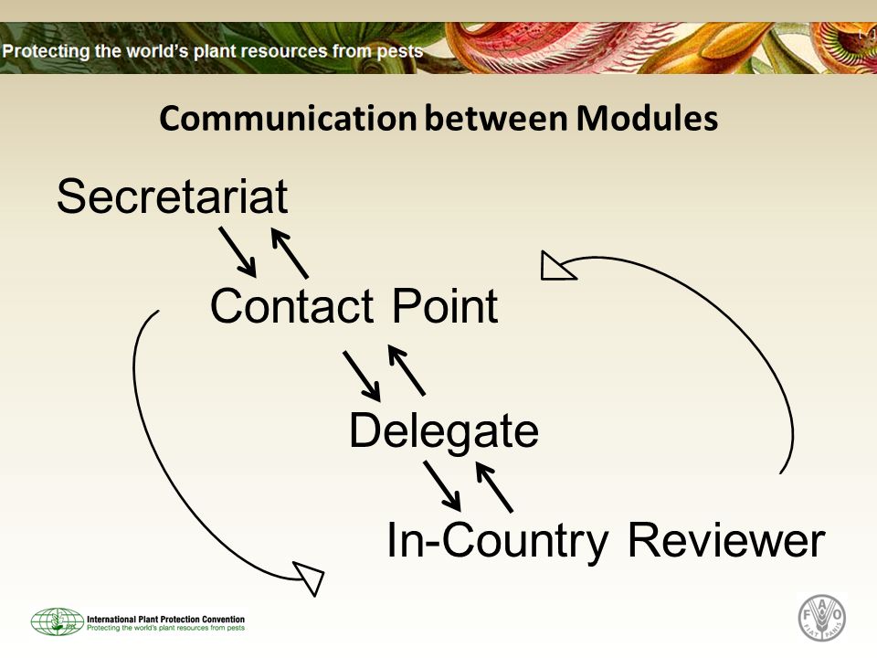 Communication between Modules In-Country Reviewer Delegate Contact Point Secretariat