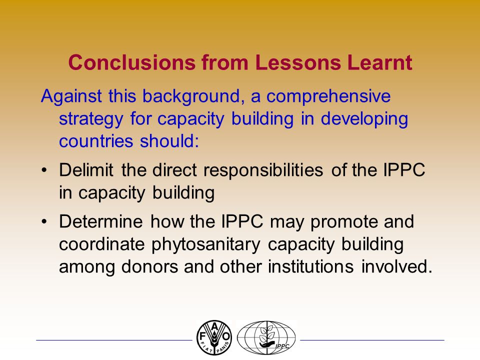 Conclusions from Lessons Learnt Against this background, a comprehensive strategy for capacity building in developing countries should: Delimit the direct responsibilities of the IPPC in capacity building Determine how the IPPC may promote and coordinate phytosanitary capacity building among donors and other institutions involved.