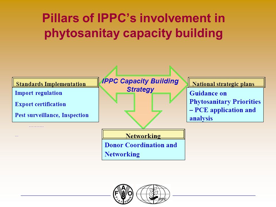 Pillars of IPPCs involvement in phytosanitay capacity building Standards Implementation Import regulation Export certification Pest surveillance, Inspection ………....