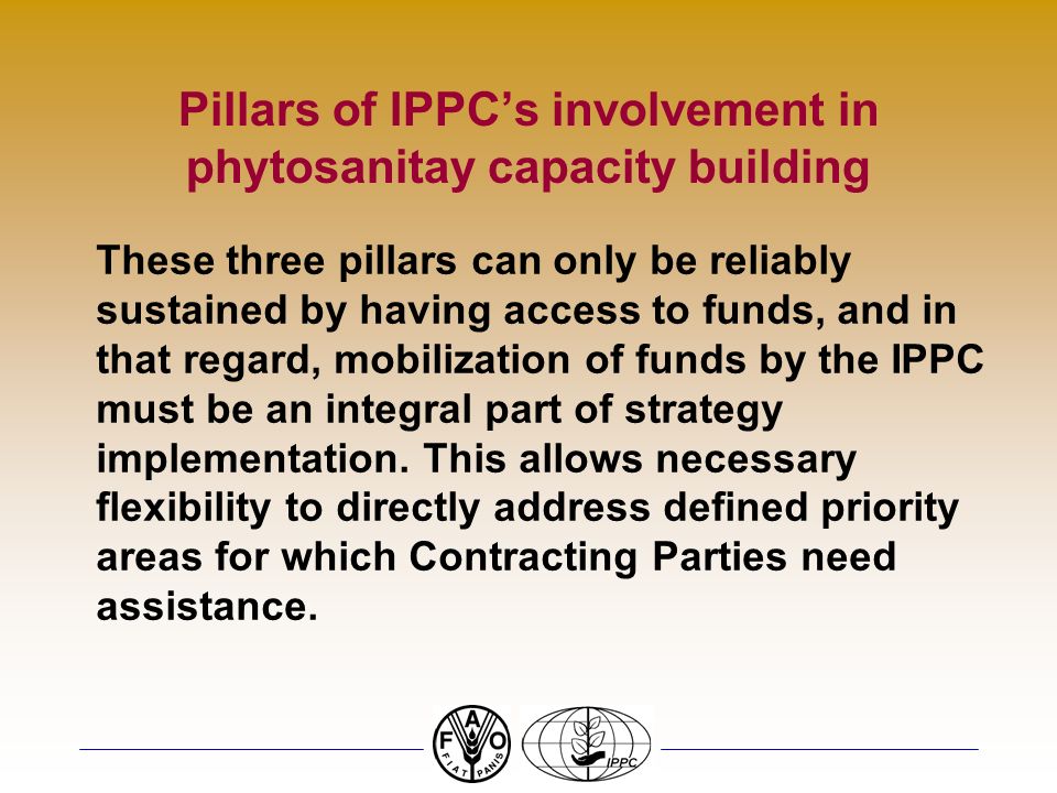 Pillars of IPPCs involvement in phytosanitay capacity building These three pillars can only be reliably sustained by having access to funds, and in that regard, mobilization of funds by the IPPC must be an integral part of strategy implementation.