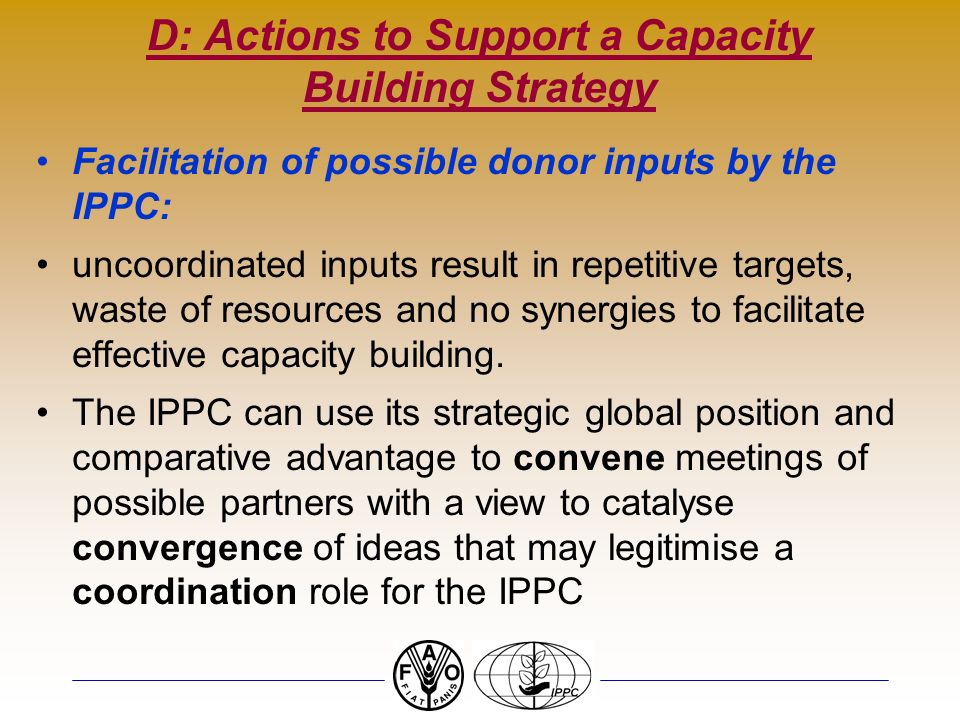 D: Actions to Support a Capacity Building Strategy Facilitation of possible donor inputs by the IPPC: uncoordinated inputs result in repetitive targets, waste of resources and no synergies to facilitate effective capacity building.