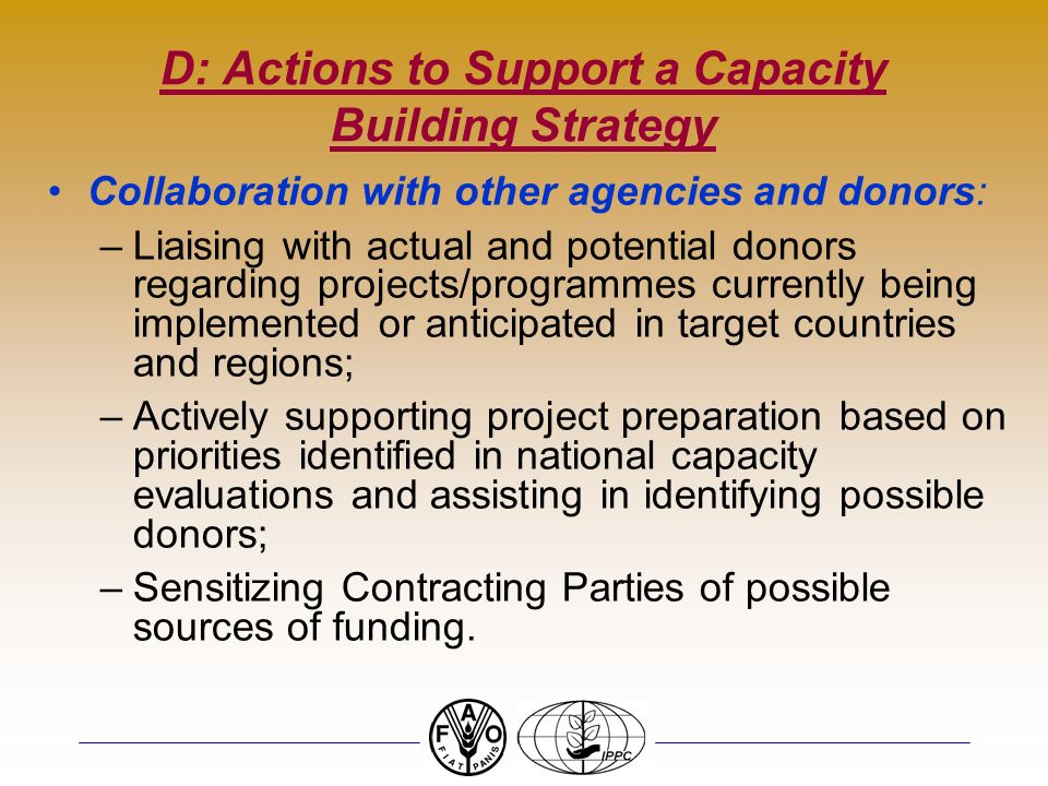 D: Actions to Support a Capacity Building Strategy Collaboration with other agencies and donors: –Liaising with actual and potential donors regarding projects/programmes currently being implemented or anticipated in target countries and regions; –Actively supporting project preparation based on priorities identified in national capacity evaluations and assisting in identifying possible donors; –Sensitizing Contracting Parties of possible sources of funding.