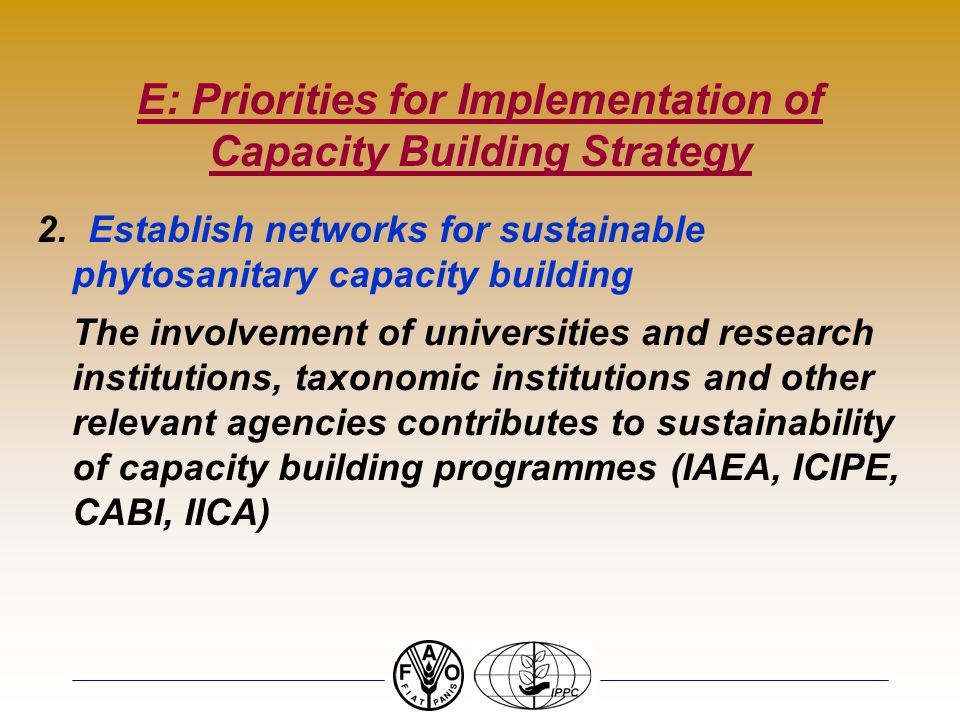 E: Priorities for Implementation of Capacity Building Strategy 2.