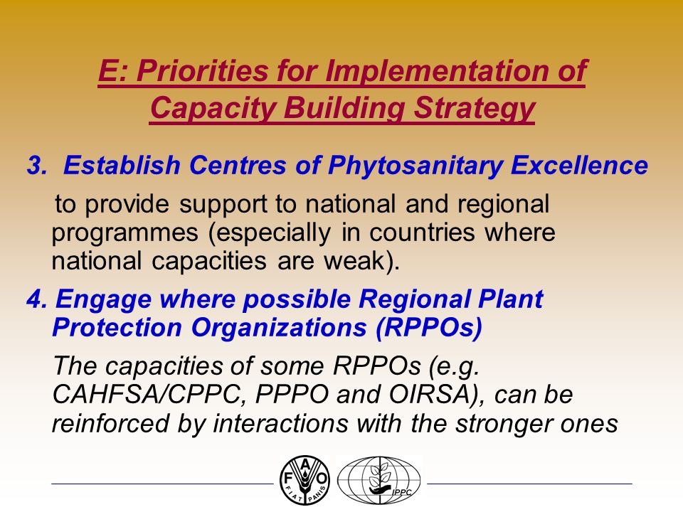 E: Priorities for Implementation of Capacity Building Strategy 3.