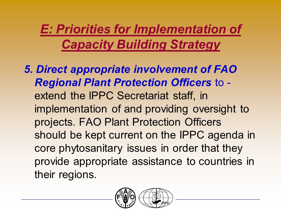 E: Priorities for Implementation of Capacity Building Strategy 5.