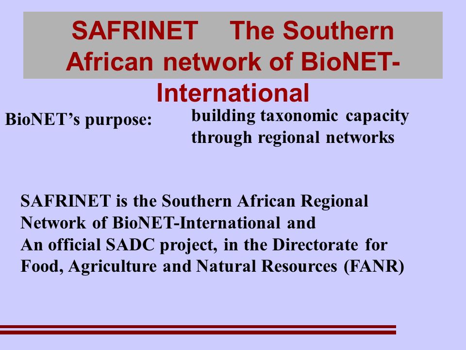 SAFRINET The Southern African network of BioNET- International BioNETs purpose: building taxonomic capacity through regional networks SAFRINET is the Southern African Regional Network of BioNET-International and An official SADC project, in the Directorate for Food, Agriculture and Natural Resources (FANR)