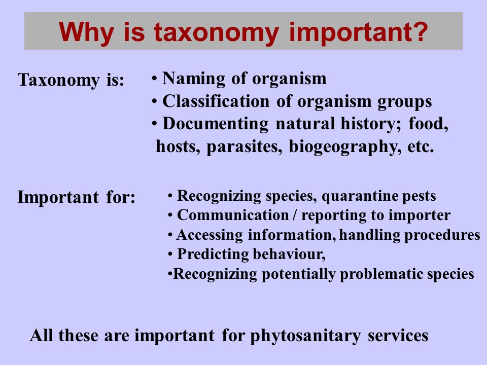 Why is taxonomy important.