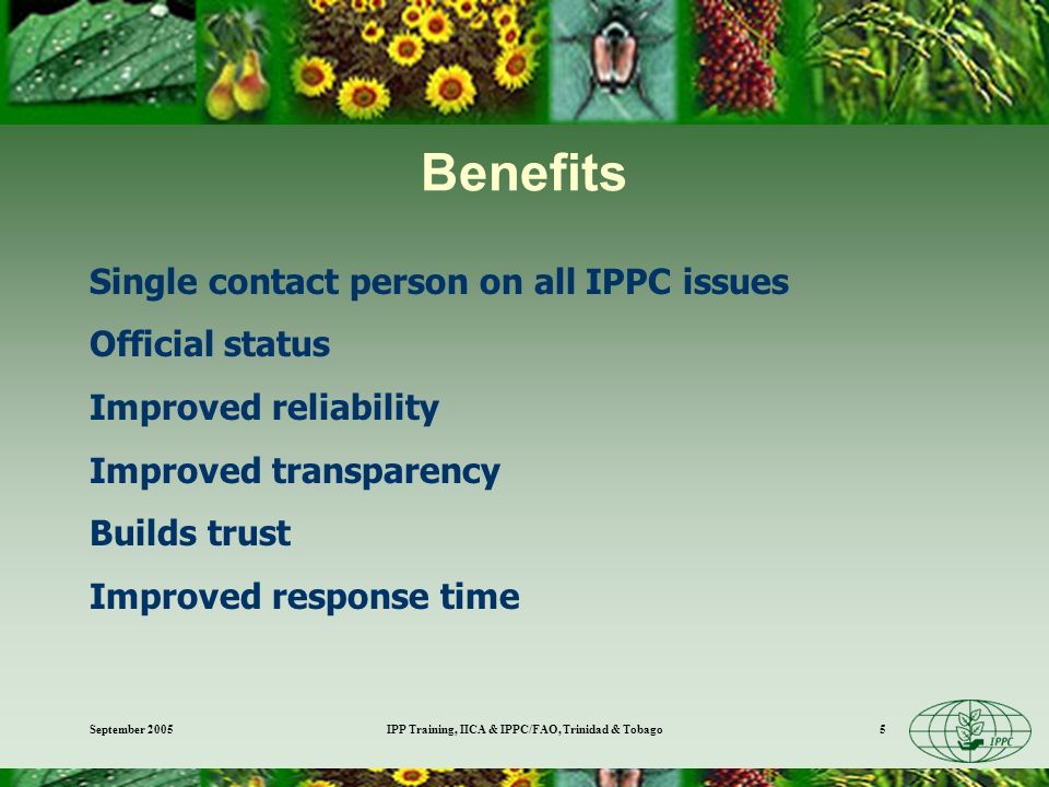 September 2005IPP Training, IICA & IPPC/FAO, Trinidad & Tobago5 Benefits Single contact person on all IPPC issues Official status Improved reliability Improved transparency Builds trust Improved response time