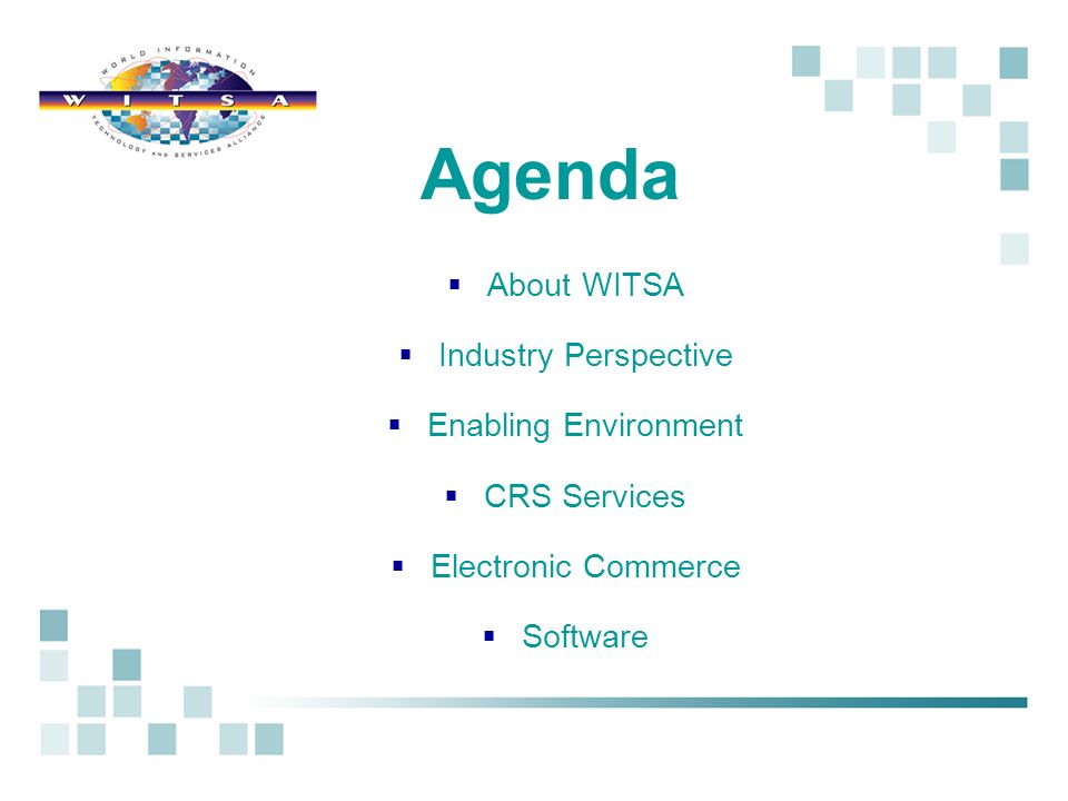 About WITSA Industry Perspective Enabling Environment CRS Services Electronic Commerce Software Agenda