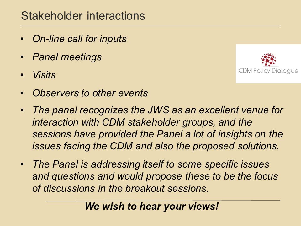 Stakeholder interactions On-line call for inputs Panel meetings Visits Observers to other events The panel recognizes the JWS as an excellent venue for interaction with CDM stakeholder groups, and the sessions have provided the Panel a lot of insights on the issues facing the CDM and also the proposed solutions.