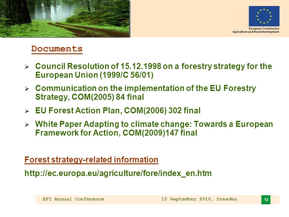 EFI Annual Conference 15 September 2010, Dresden 12 Documents Council Resolution of on a forestry strategy for the European Union (1999/C 56/01) Communication on the implementation of the EU Forestry Strategy, COM(2005) 84 final EU Forest Action Plan, COM(2006) 302 final White Paper Adapting to climate change: Towards a European Framework for Action, COM(2009)147 final Forest strategy-related information