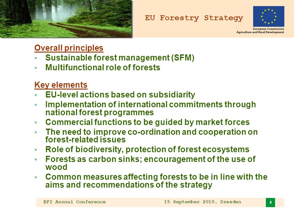 EFI Annual Conference 15 September 2010, Dresden 4 EU Forestry Strategy Overall principles Sustainable forest management (SFM) Multifunctional role of forests Key elements EU-level actions based on subsidiarity Implementation of international commitments through national forest programmes Commercial functions to be guided by market forces The need to improve co-ordination and cooperation on forest-related issues Role of biodiversity, protection of forest ecosystems Forests as carbon sinks; encouragement of the use of wood Common measures affecting forests to be in line with the aims and recommendations of the strategy