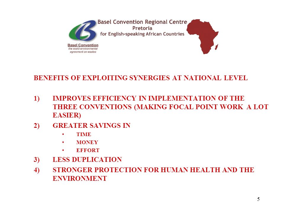 5 BENEFITS OF EXPLOITING SYNERGIES AT NATIONAL LEVEL 1)IMPROVES EFFICIENCY IN IMPLEMENTATION OF THE THREE CONVENTIONS (MAKING FOCAL POINT WORK A LOT EASIER) 2)GREATER SAVINGS IN TIME MONEY EFFORT 3)LESS DUPLICATION 4)STRONGER PROTECTION FOR HUMAN HEALTH AND THE ENVIRONMENT
